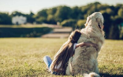 Novedades 2026: Bienestar Animal y el Futuro Animal