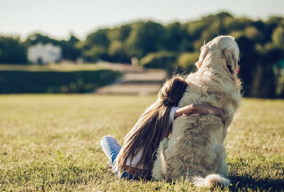 Novedades 2026: Bienestar Animal y el Futuro Animal