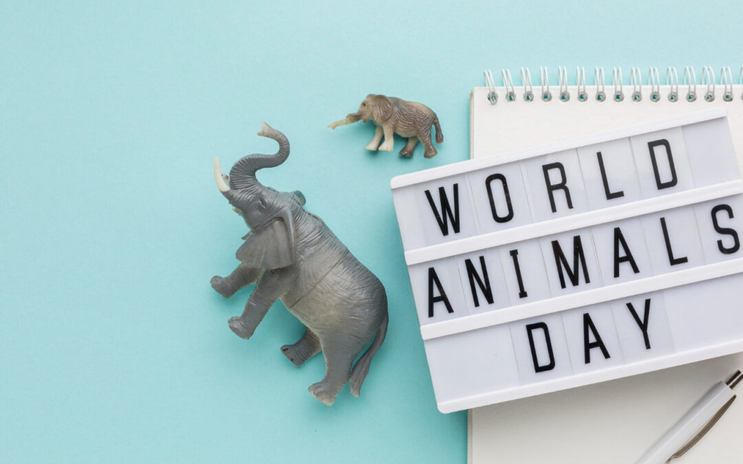 Calendario Animal: Días Festivos Internacionales de la Mascota
