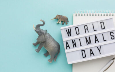 Calendario Animal: Días Festivos Internacionales de la Mascota